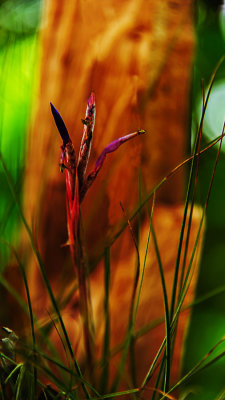 D702_6422_StillTrying.jpg