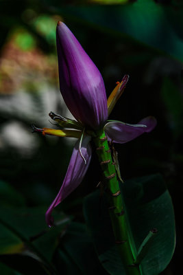 D51_1517_DevelopingInTheDark.jpg