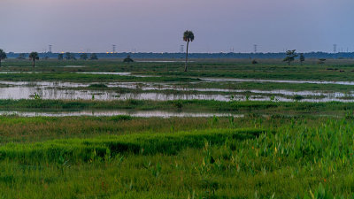 D51_8348_44_WetlandsPlus.jpg