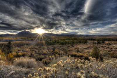 Mono Region