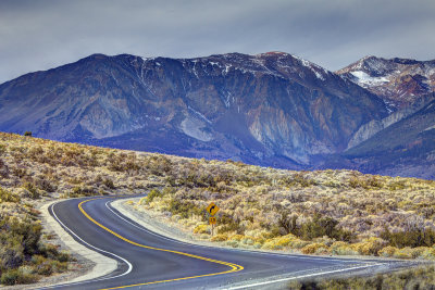 Road to Mono Basin National Forest