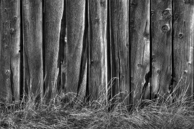 Bodie