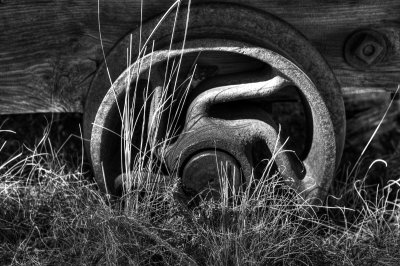 Bodie