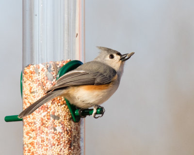 20150210_J6A1435.jpg