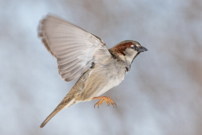 20150305_J6A2182.jpg