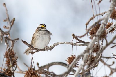 20150305_J6A2191.jpg
