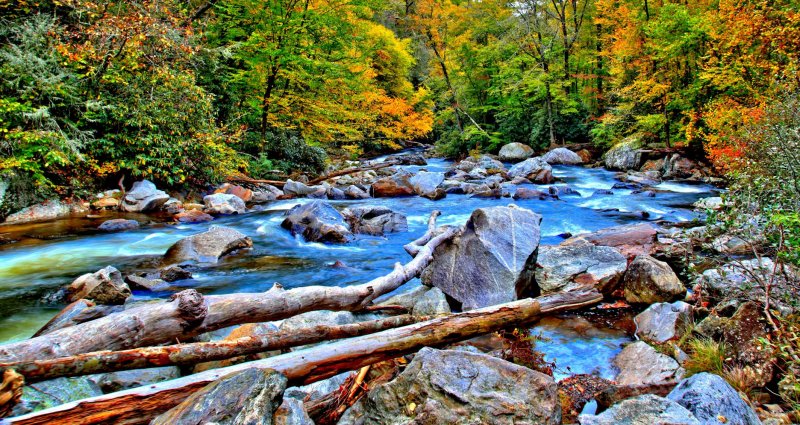 Autumn, North Carolina