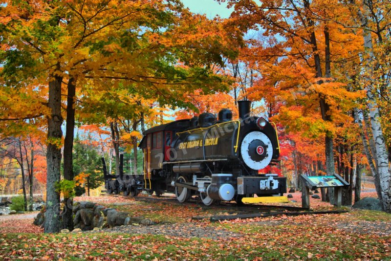 East Branch and Lincoln Logging Locomotive, White Mountain, New Hampshire