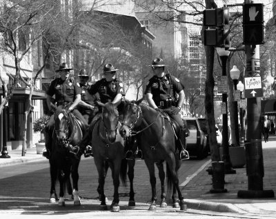Orlando Mounted Police