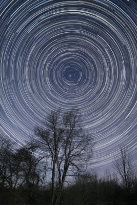 Star Trails