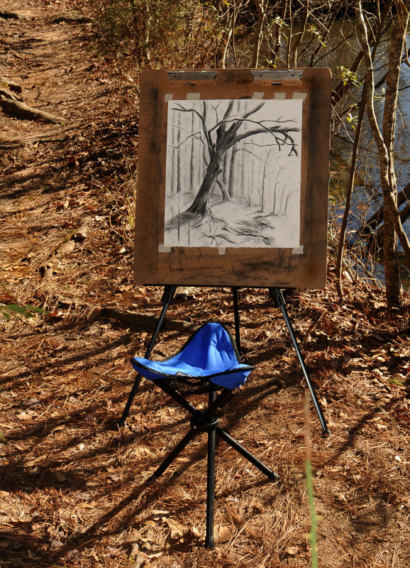 Charcoal Sketch created by the Pond