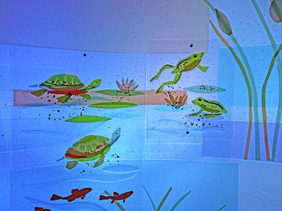 Discovery Wall Fish, Turtles, and Frogs