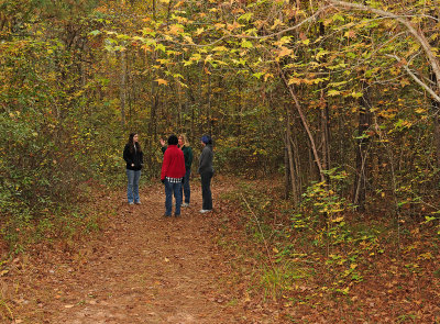 Fall Nature Walk with Jennifer Lolley