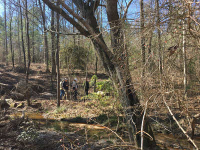 Winter Birding Walk in Preserve