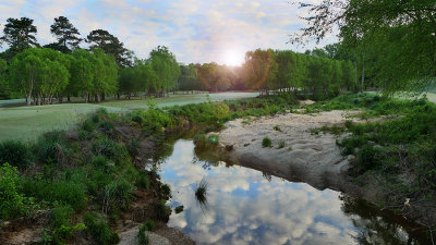 VIDEO:  Wildlife of Moore's Mill Creek (Part 1)