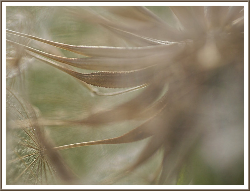 July 06 - Blowin in the Wind