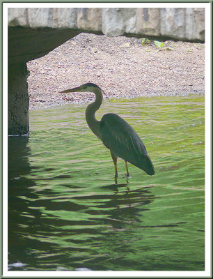 June 09 - Under the Bridge