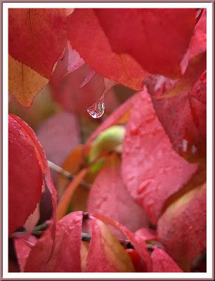 October 03 - Autumn Rain