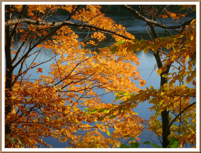 October 18 - Autumn by the River