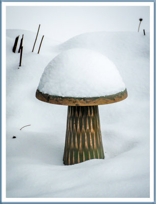 December 25 - Winter Mushroom