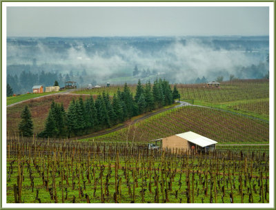 March 11 - Wine Country