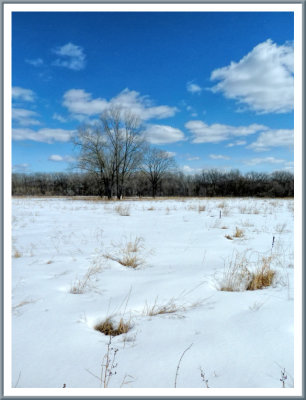 March 24 - Spring?