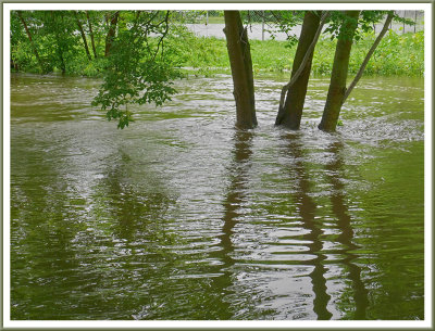 June 19 - Lots of Rain; Lots of Water