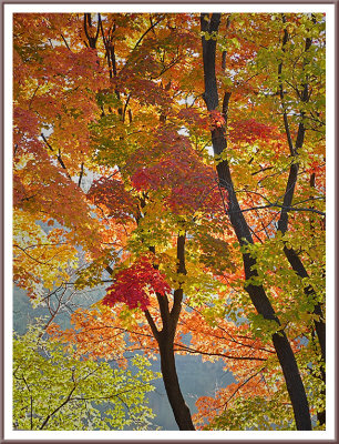October 11 - Seasonal Colors