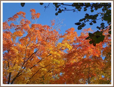 October 15 - On a Sunny Autumn Day