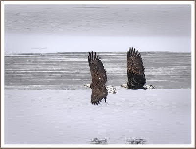 March 19 - Eagles
