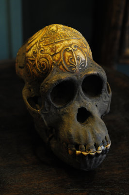 VOODOO SKULL