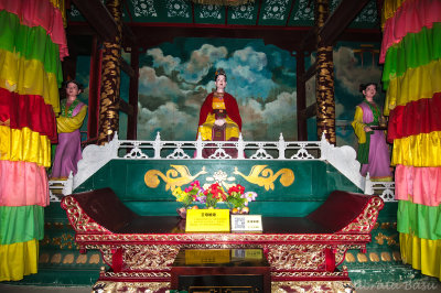 image5web.jpg