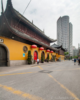 image6web.jpg
