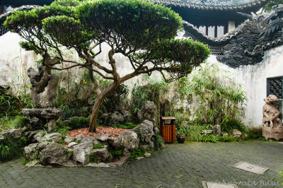 image7web.jpg