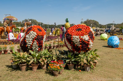 Palace garden 1web.jpg