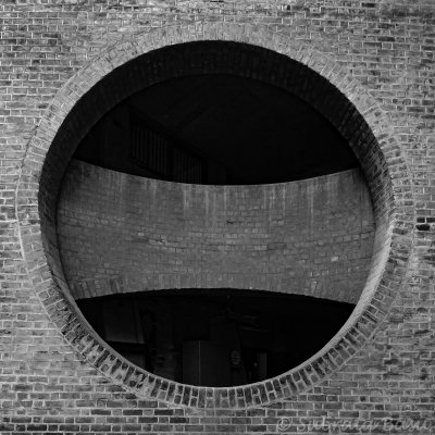 image8 web.jpg