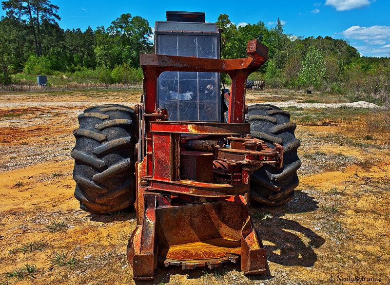 Feller Buncher