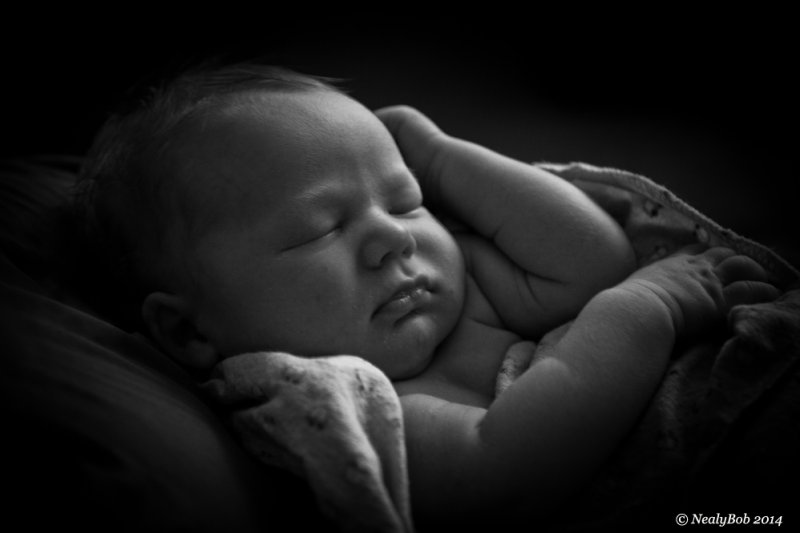 Baby Evan July 28
