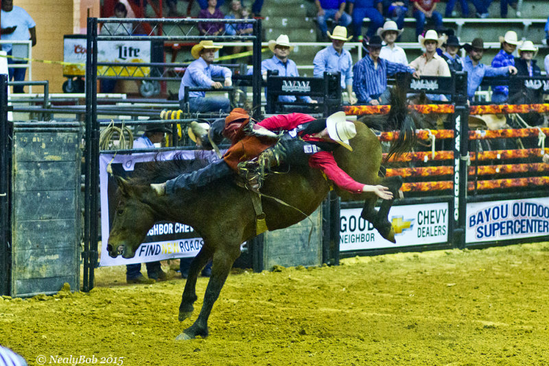 Bucken Bronc