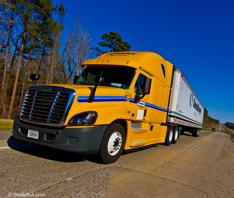 Freightliner 