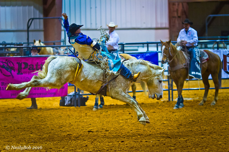 Bare Back Rider
