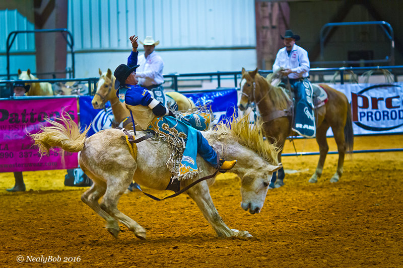 Bare Back Rider