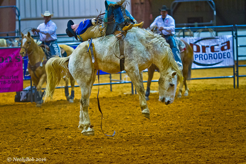 Bare Back Rider