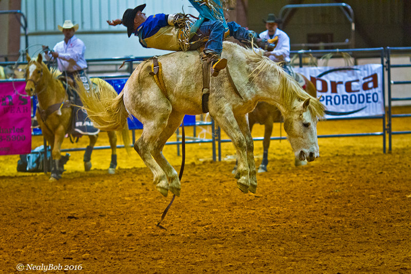 Bare Back Rider