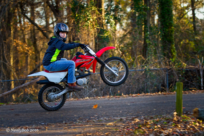 Wheelie