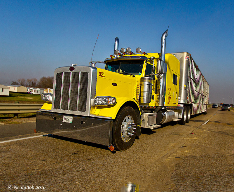 Cow Hauler