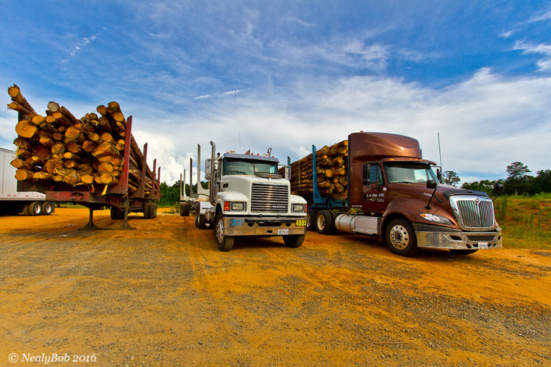 Log Trucks