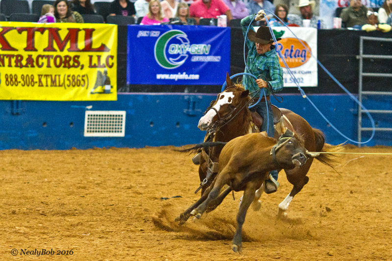Rodeo Action November 5