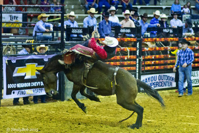 Bucken Bronc