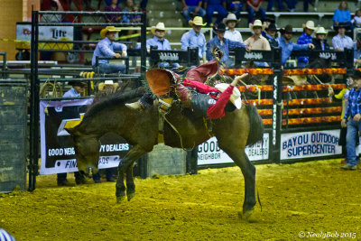 Bucken Bronc